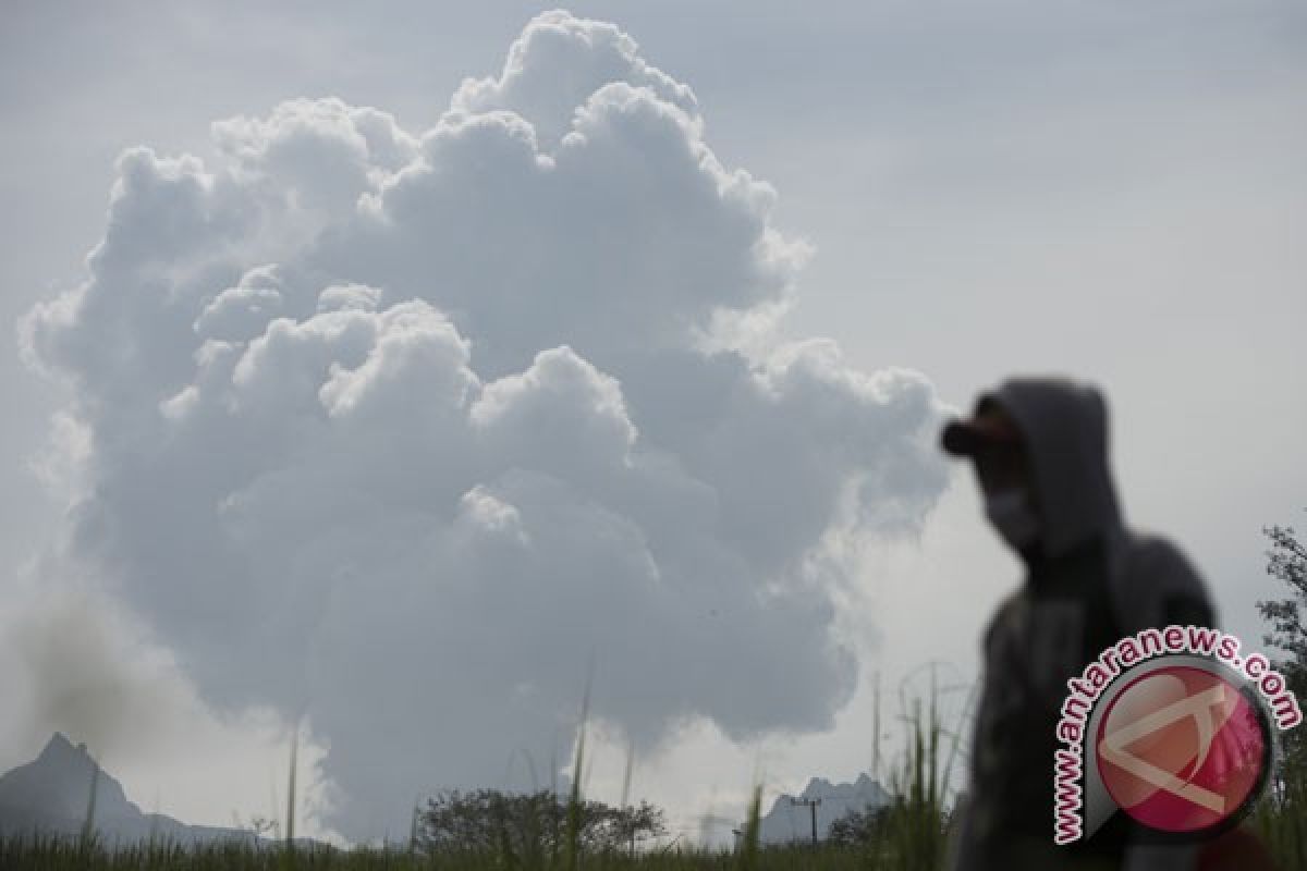 Ribuan ikan mati di Bantul akibat erupsi