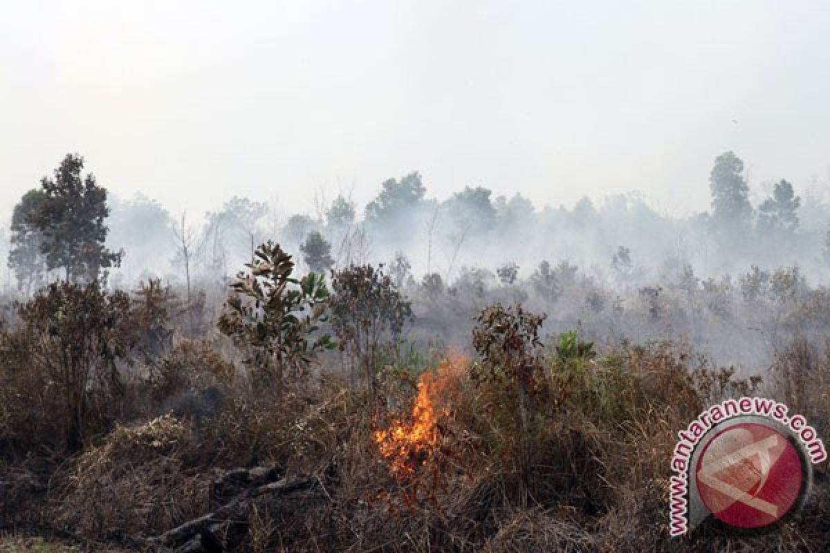 BMKG deteksi 46 titik panas di Riau
