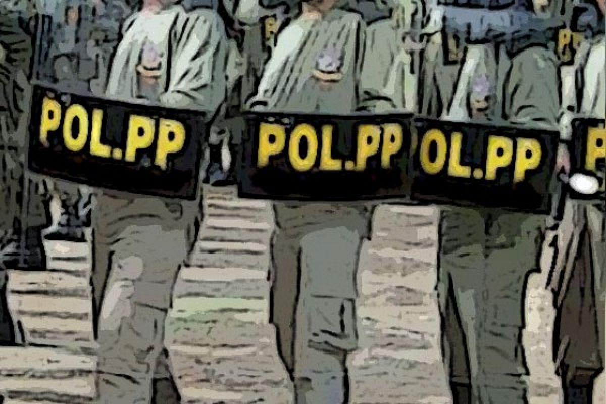  Satpol-PP Pesisir Selatan Usulkan Revisi Perda Ketenteraman dan Ketertiban Umum
