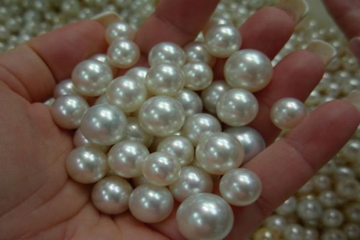 Indonesia needs to globally promote its pearl industry