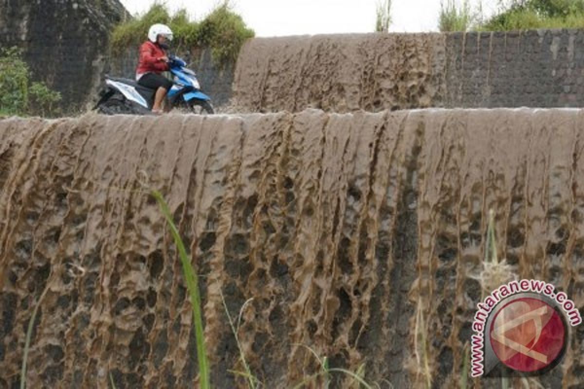 Benih ikan di Bantul mati terkena abu vulkanis