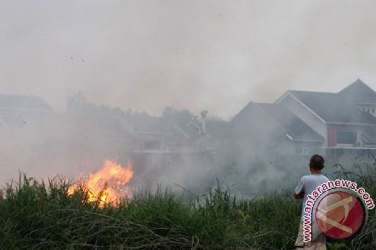 Kebakaran cagar biosfer di Riau meluas