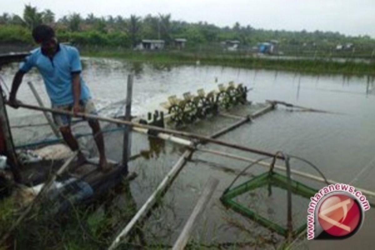 Bantul reklamasi lahan bekas tambak udang 