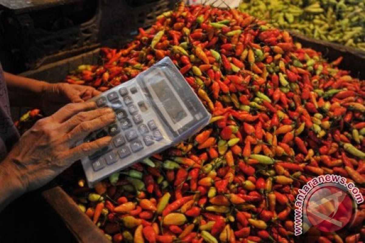 Daftar pangan: harga cabe rawit merah 1 kg hari ini Rp75.280
