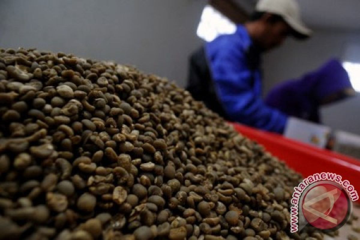 Simalungun district grows arabica coffee