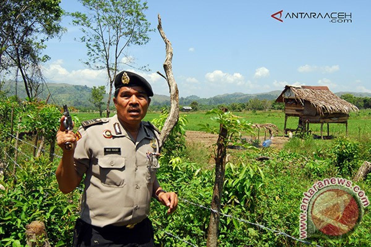 Napi Rutan Lhoksukon kabur