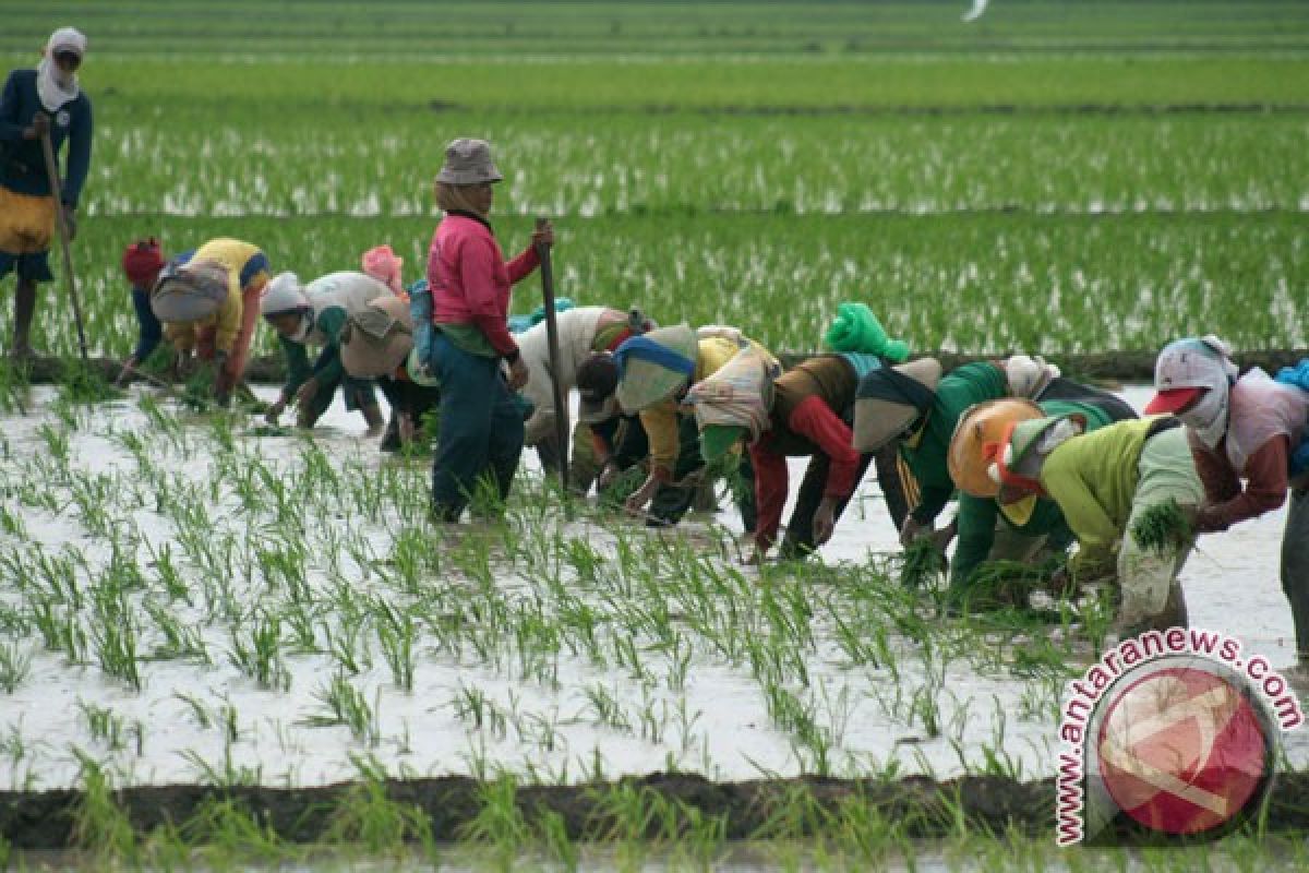 NU diminta berdayakan masyarakat lewat pertanian