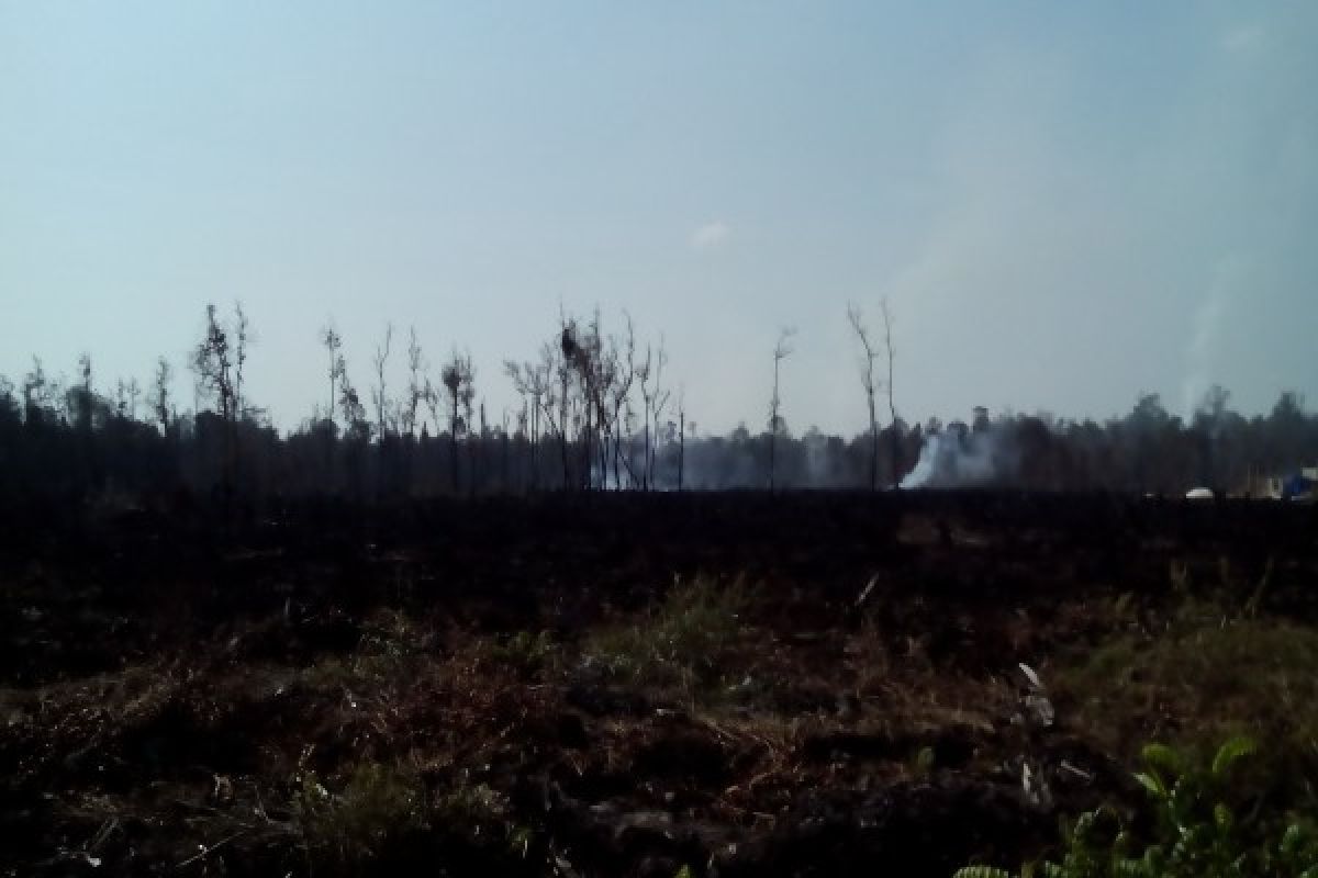 Tim Terpadu Singkawang Amankan Pelaku Pembakaran Lahan