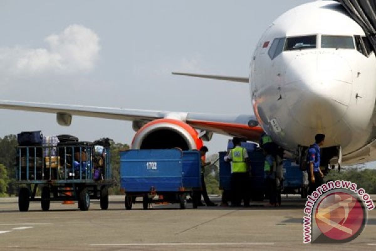 Volume penumpang di Hang Nadim naik 10 persen