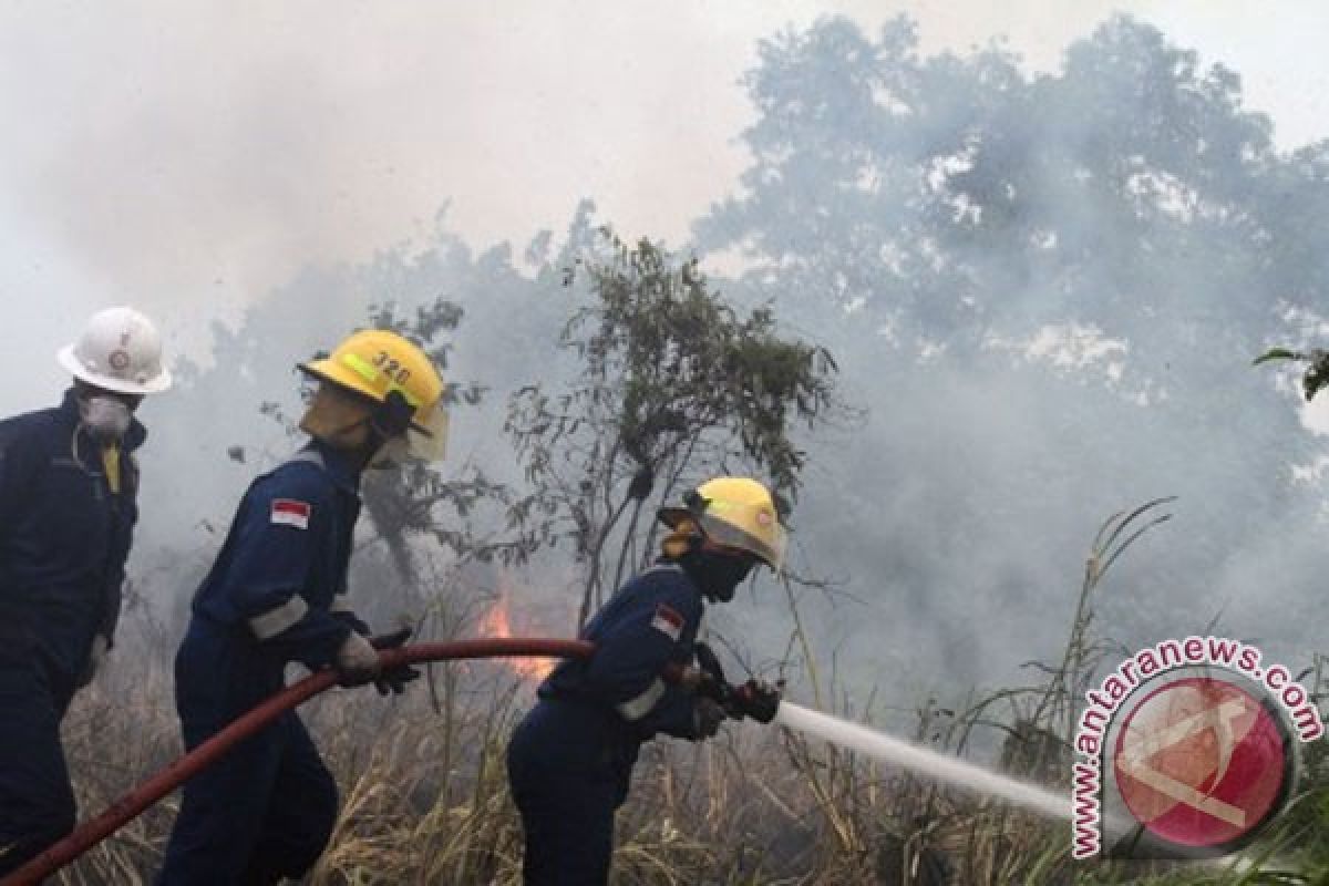 99 persen bencana asap akibat pembakaran lahan