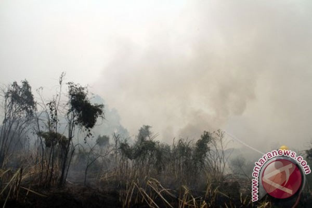 Kelompok tak dikenal bakar hutan konservasi Riau