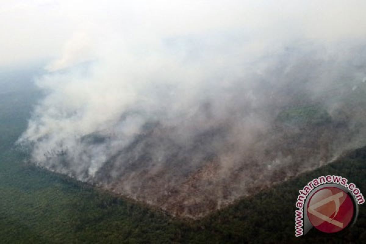 Kemen LH lakukan investigasi penyebab kebakaran lahan