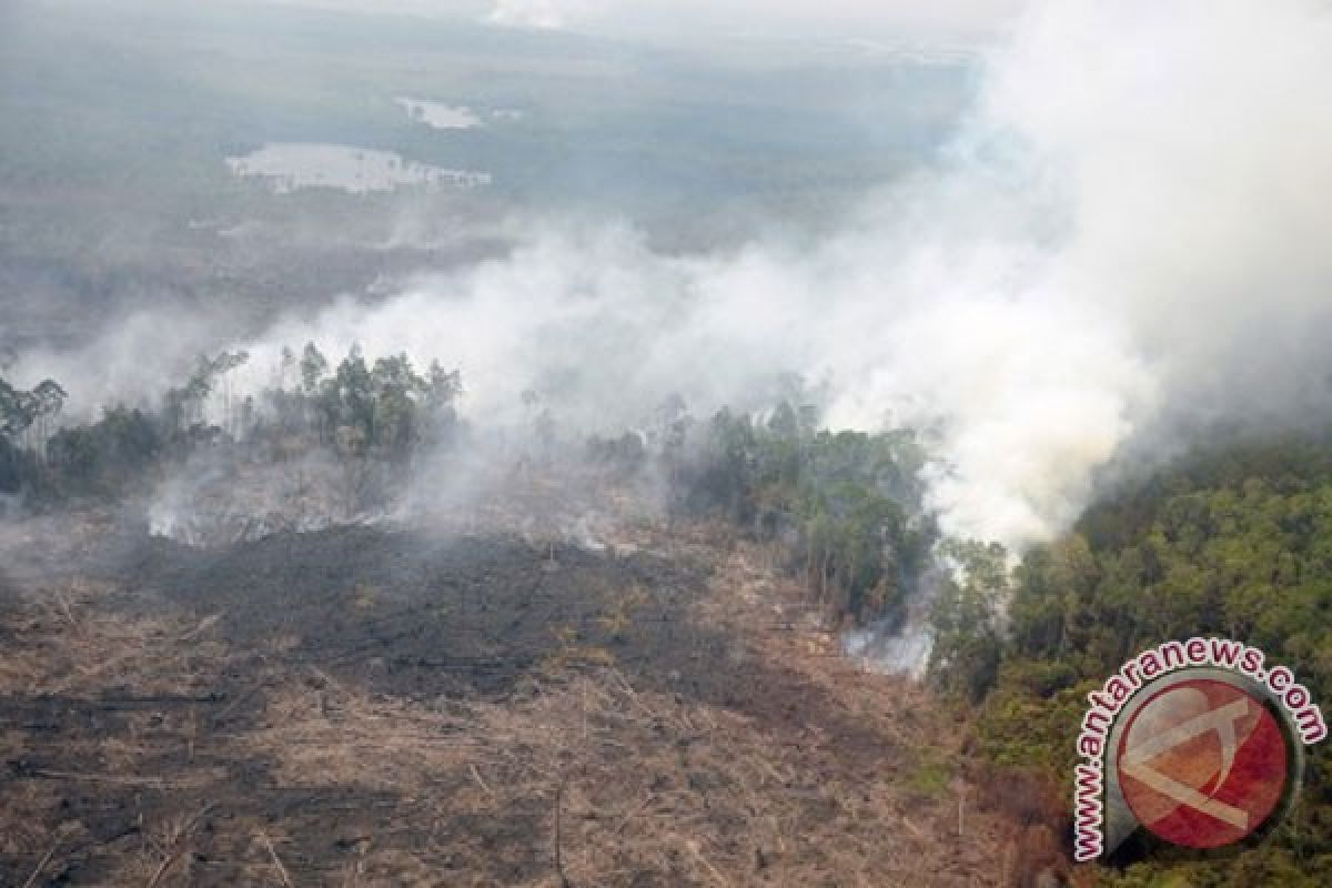 Enam helikopter dikerahkan perangi api Riau 