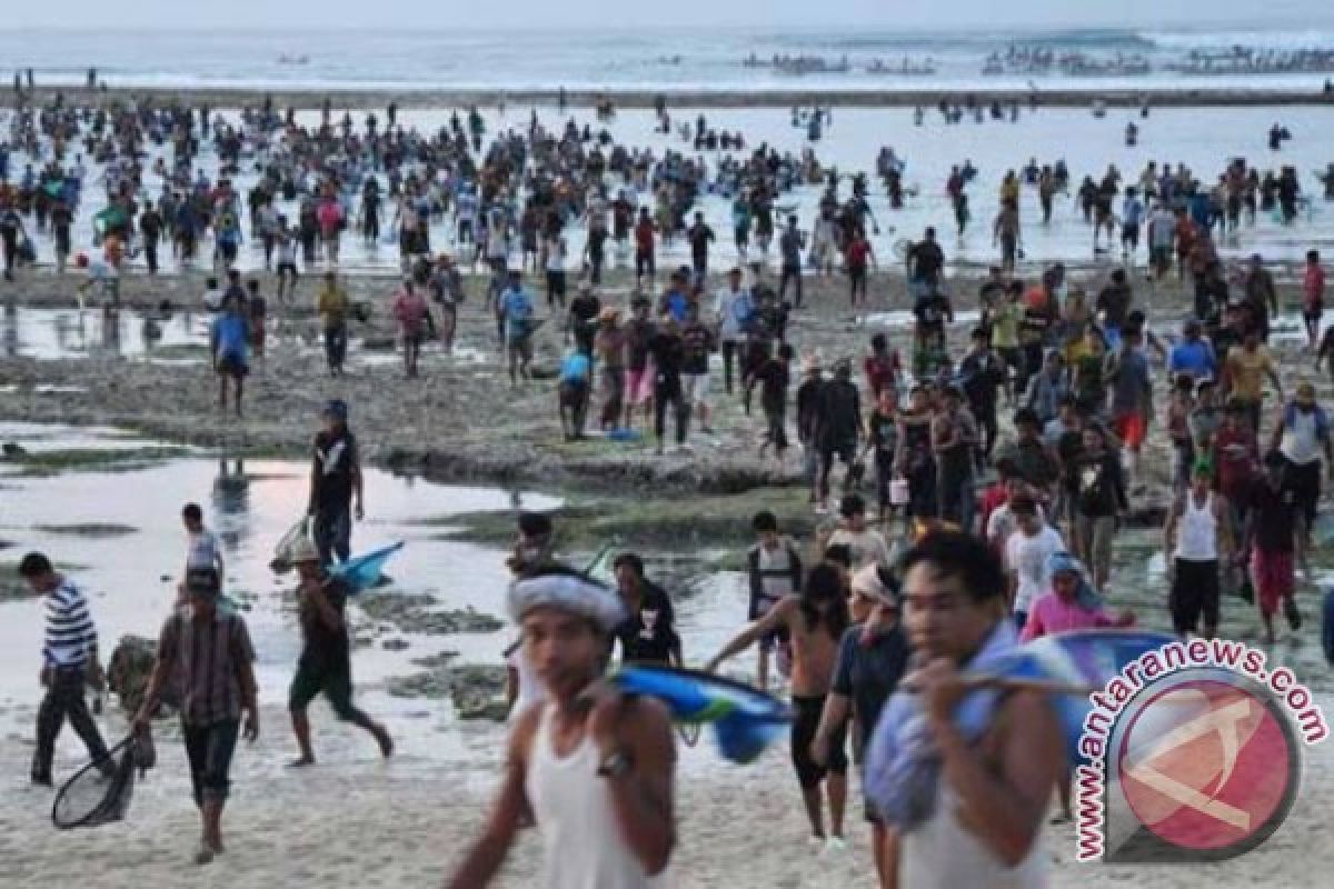 Puncak "Bau Nyale" di Lombok ditetapkan 25 Februari