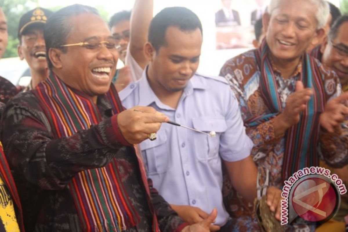 Pemerintah upayakan RMI di Lombok  jadi pusat lelang mutiara internasional