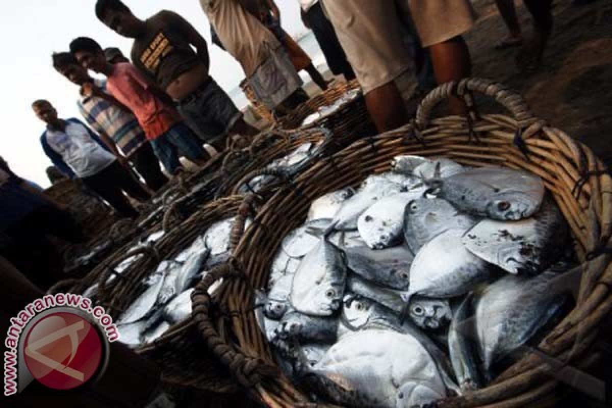 Harga Ikan Laut Naik Akibat Cuaca Ekstrem 