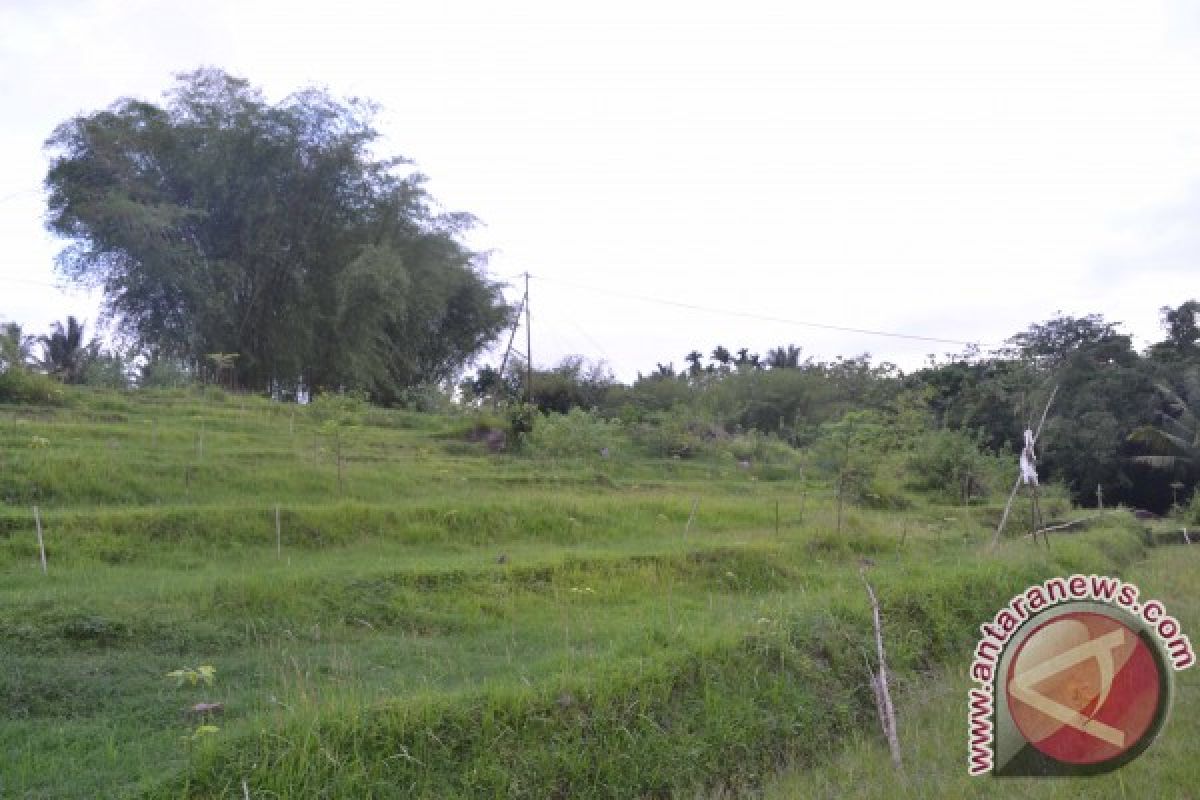 Silang Sengketa Tanah Pemakaman Bunut Baok