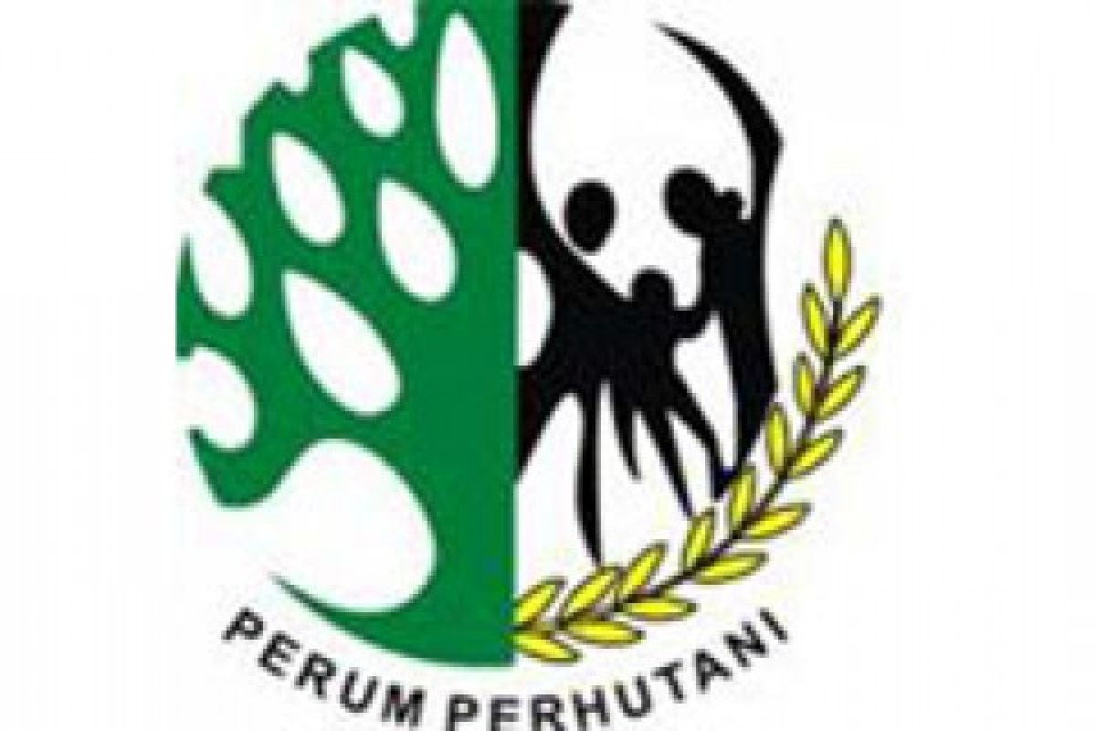 Korban Lelang Besi Tua Eks Perhutani Mengadu