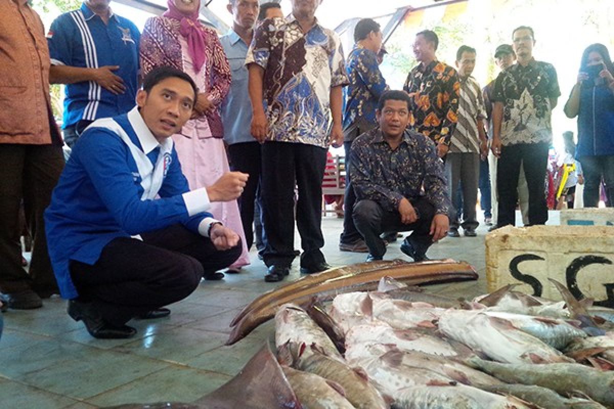 Ibas Kunjungi Desa Nelayan di Pacitan