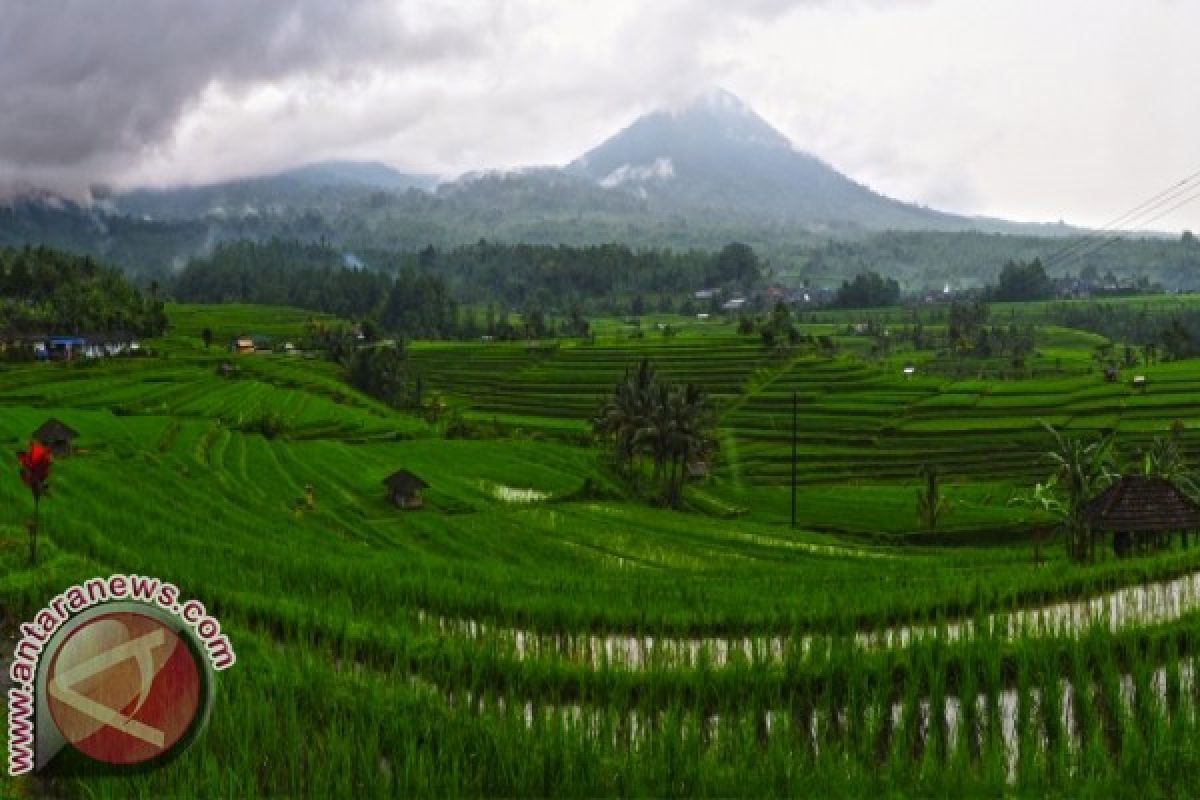 Pengembangan Ekowisata Wilayah Subak Mampu Sejahterakan Petani