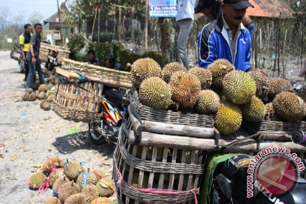 Durian asal Sulteng mulai "banjiri" Gorontalo