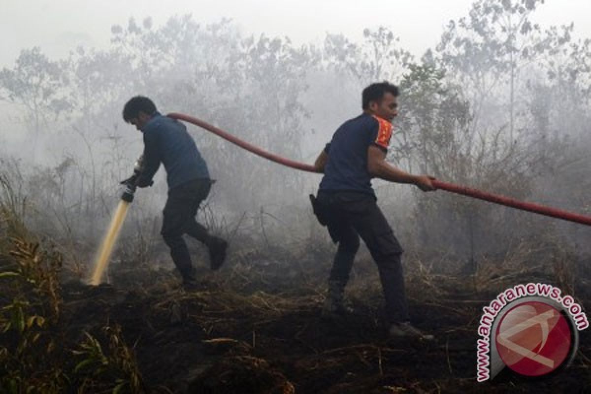 Hujan padamkan titik kebakaran di Riau