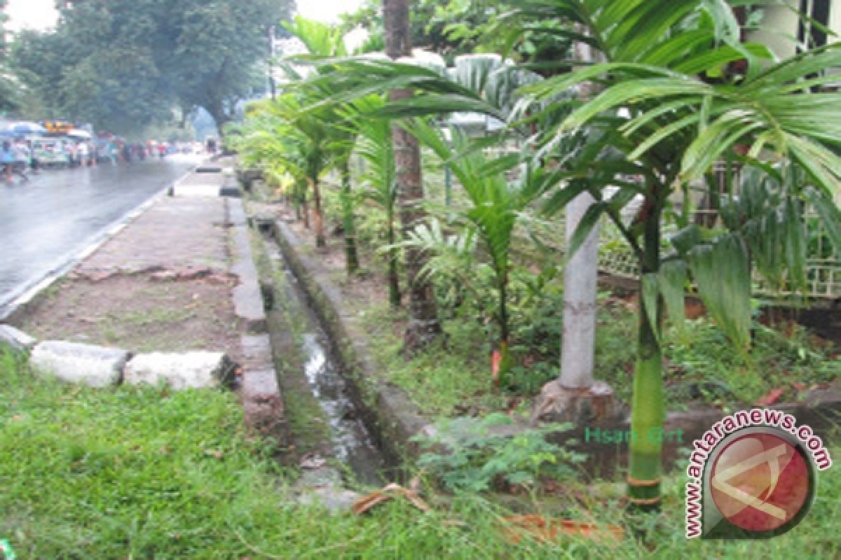 Masyarakat Pecinta Pohon Tanam Ribuan Pinang