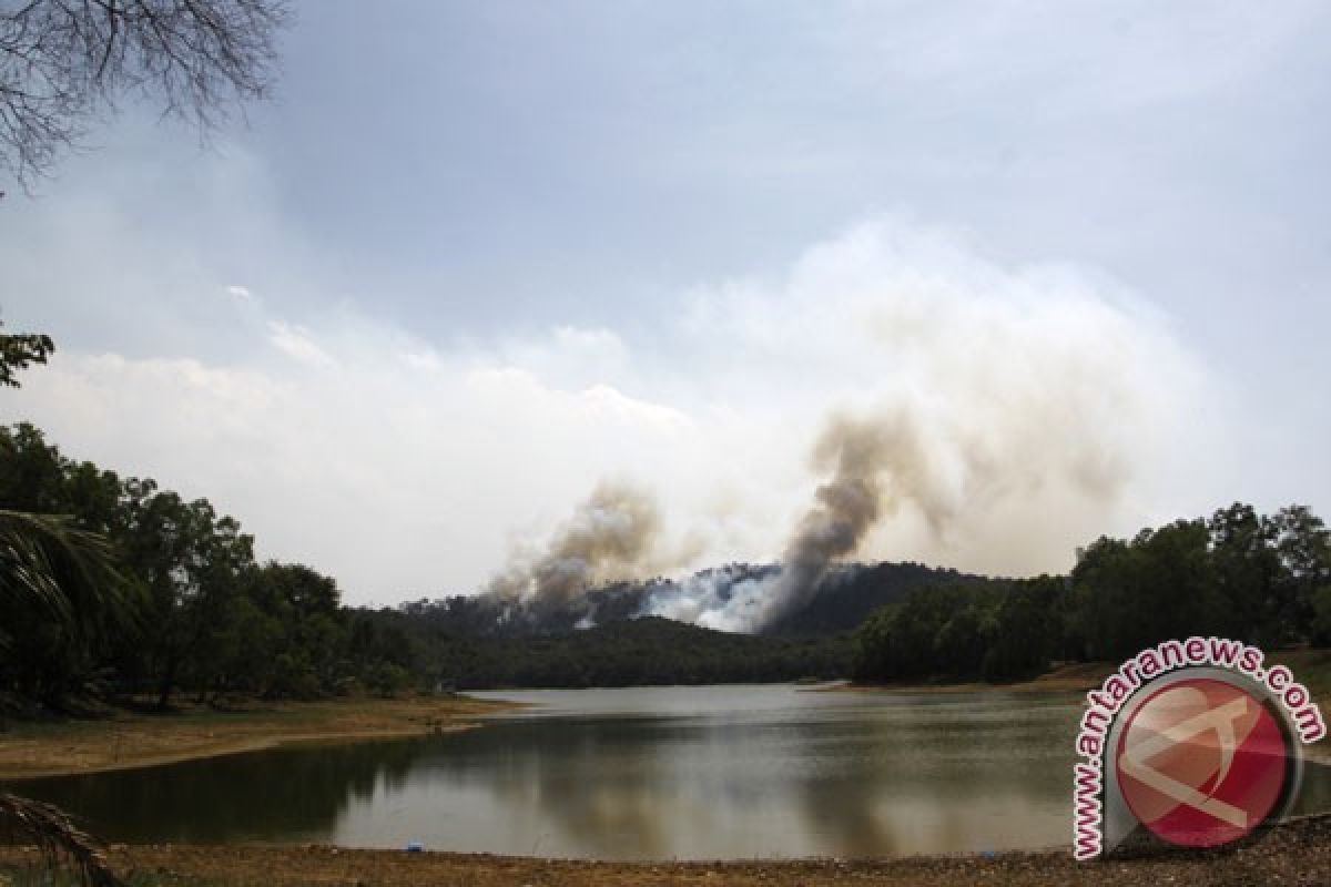 Presiden Jokowi prioritaskan pembangunan Waduk Sei Gong Batam