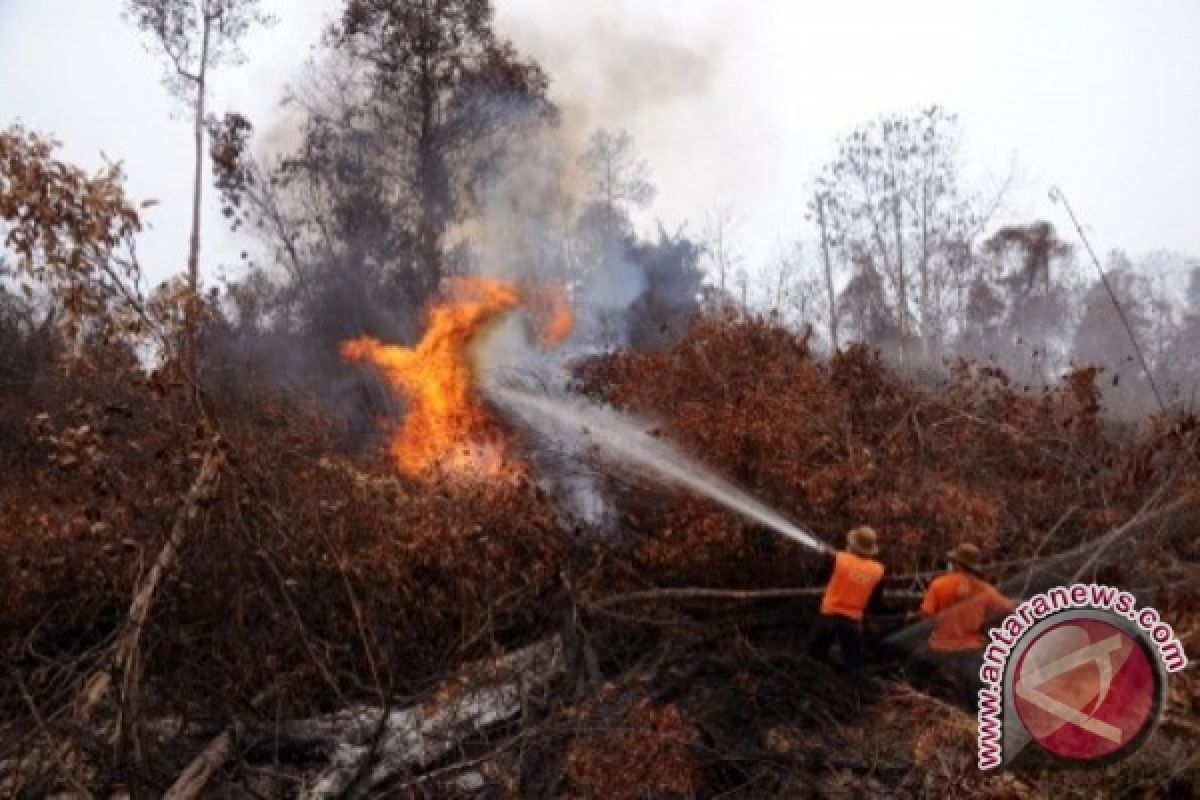 Bengkulu waspada kebakaran hutan