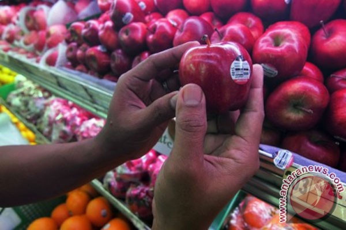 Distributor buah Bangka Belitung siap musnahkan apel berbakteri