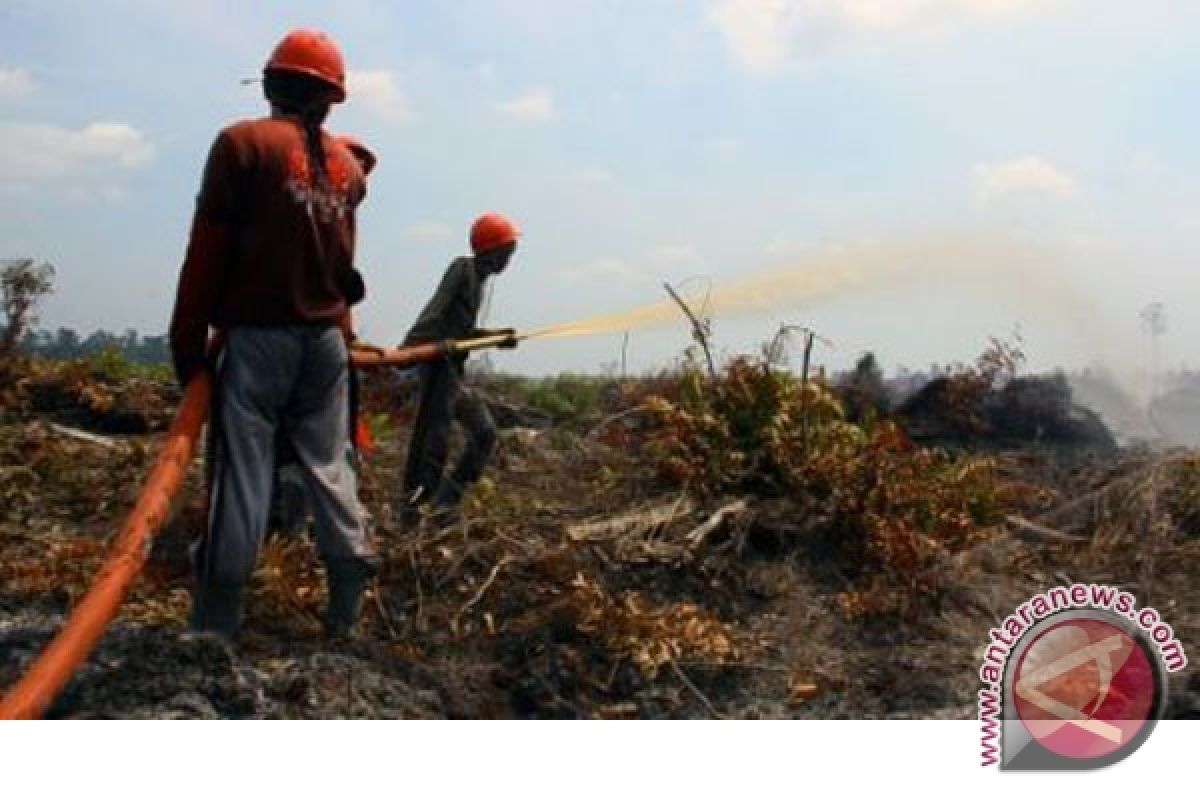 Jangan biarkan kabut asap "menghantui" setiap kemarau 