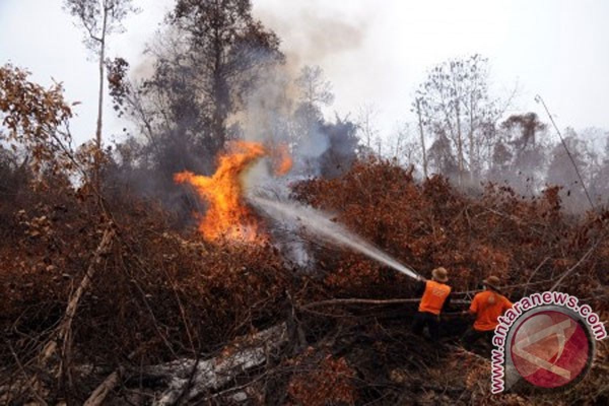 Karyawan Surya Dumai Agrindo tewas saat padamkan kebakaran lahan