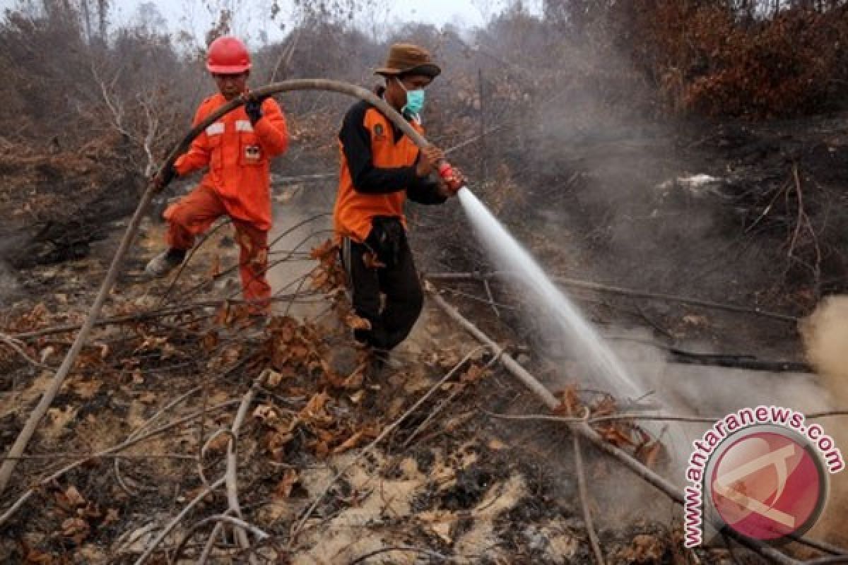 Menhut: 2.000 perambah bakar Cagar Biosfer Riau