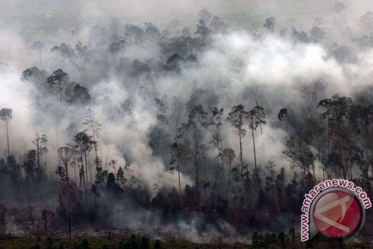 Polisi kerahkan tim pemburu pembakar hutan dan lahan