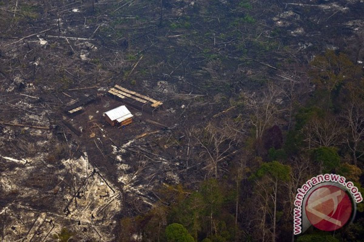 Lima kabupaten di Riau berpeluang hujan