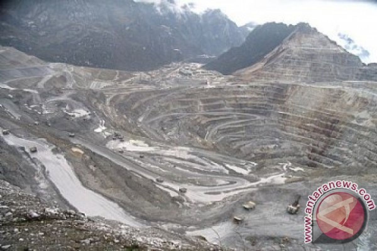 JERO: Amandemen Kontrak Perusahaan Mineral Rampung 2014