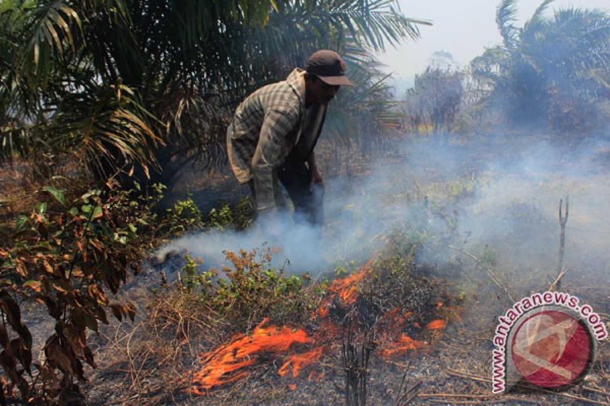 Tanggulangi kebakaran hutan, Kalteng minta mesin penyedot asap