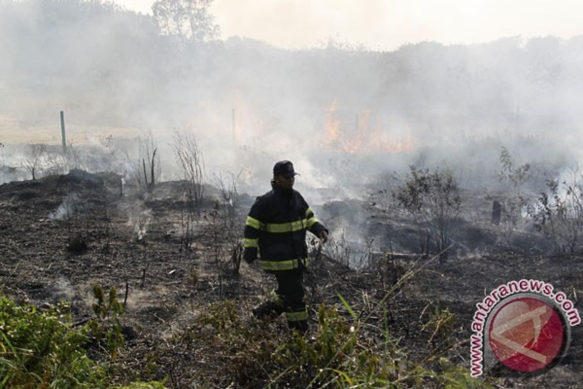 Kebakaran hutan Batam kembali membesar