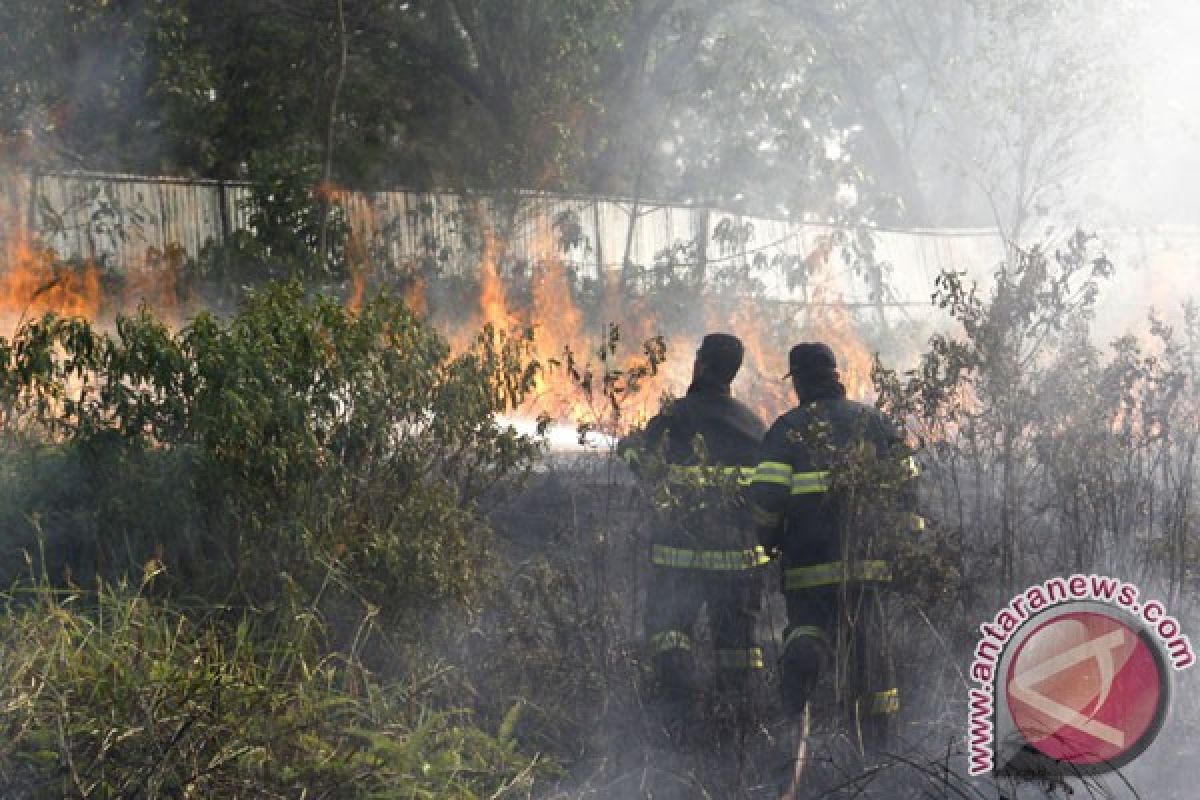 Hari tanpa kendaraan di Batam terancam kabut asap