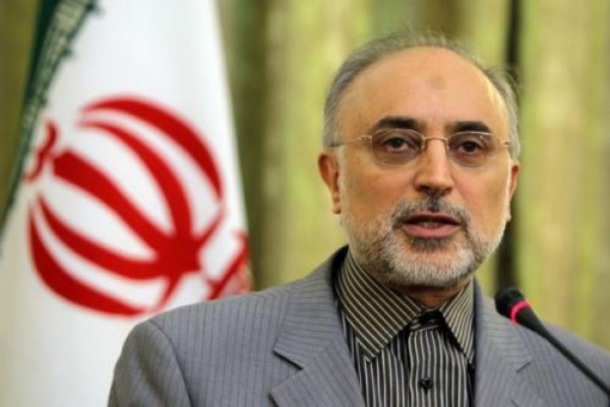 Iran puji "kemajuan" dalam pembicaraan nuklir
