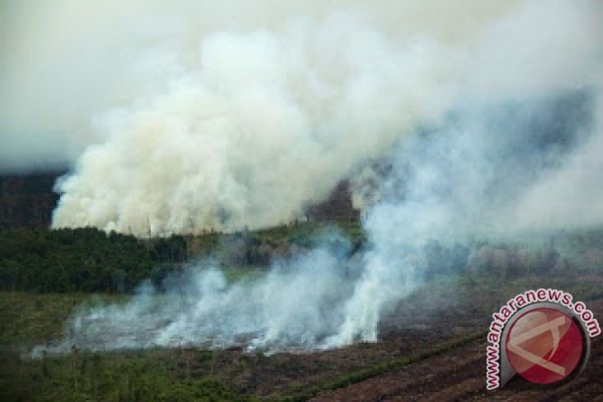 1,5 hektare lahan terbakar di Aceh Besar