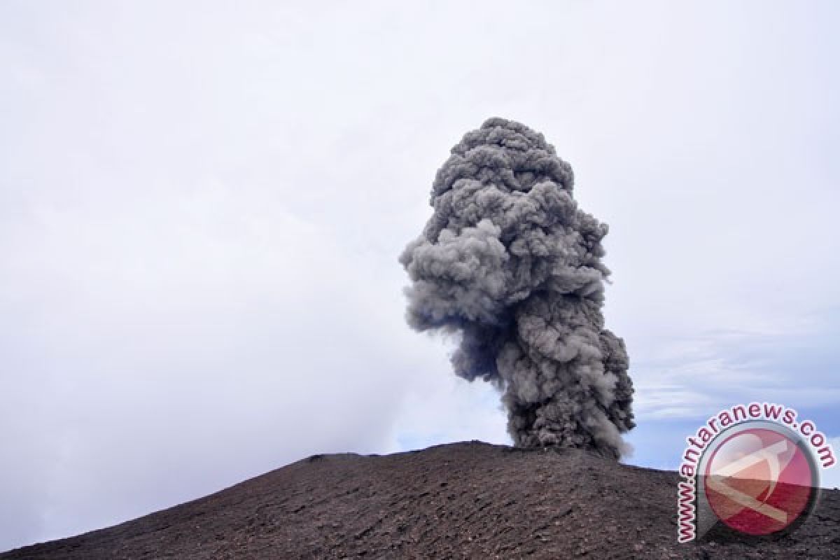 Aktivitas vulkanik Gunung Slamet mereda