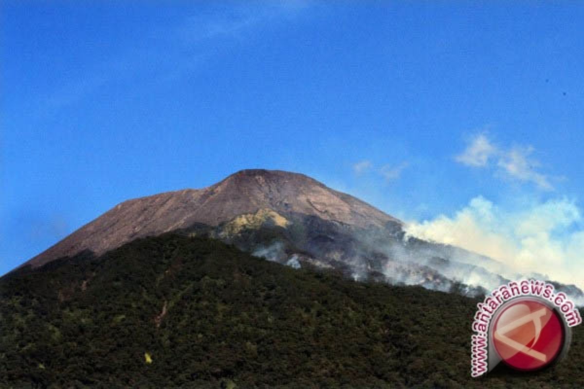 Gunung Slamet masih keluarkan letusan abu