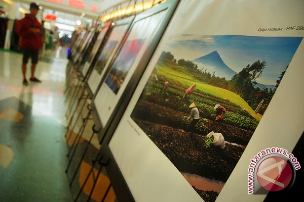 64 pelukis pameran "the balance" di Borobudur