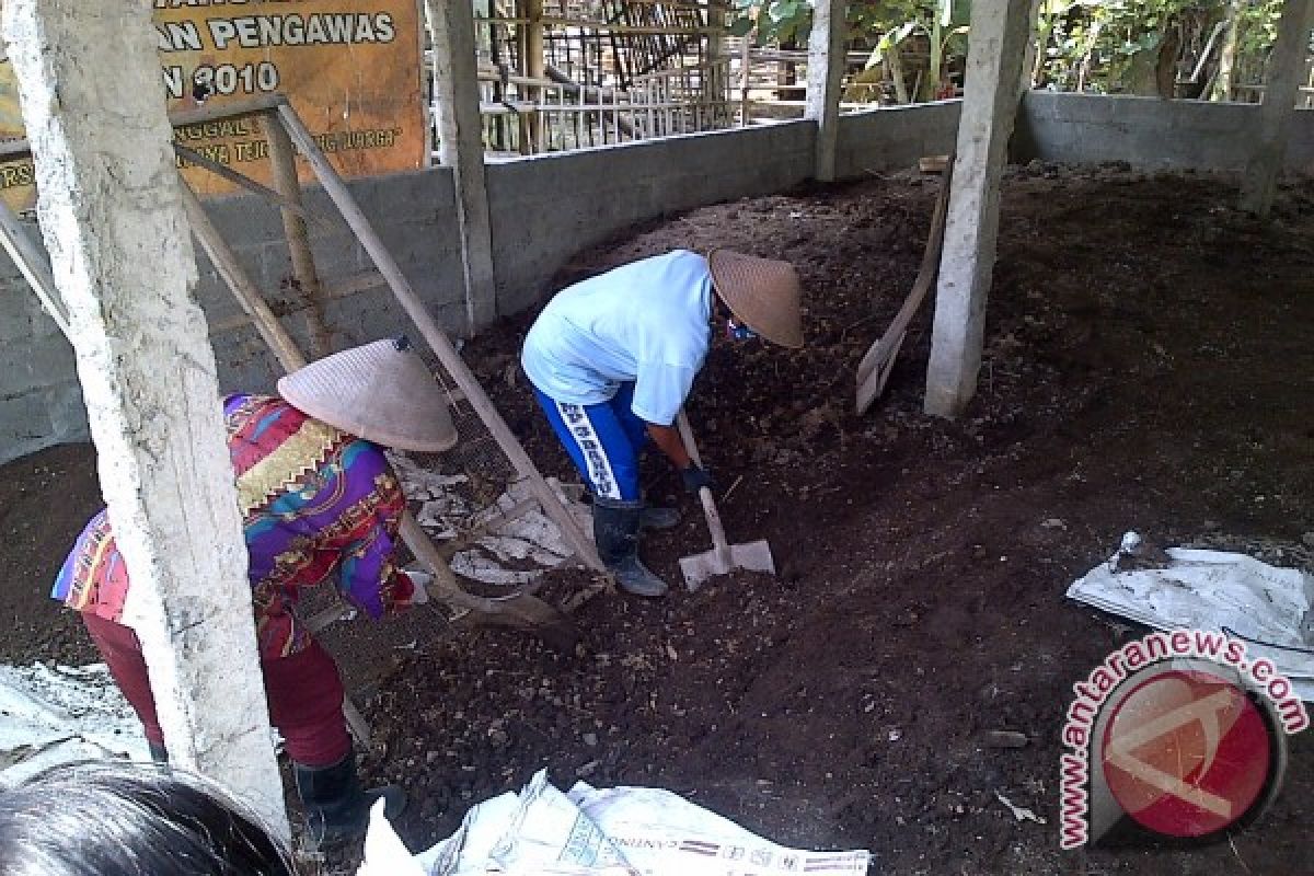 Racikan kompos petani Bantul perbaiki tanah rusak