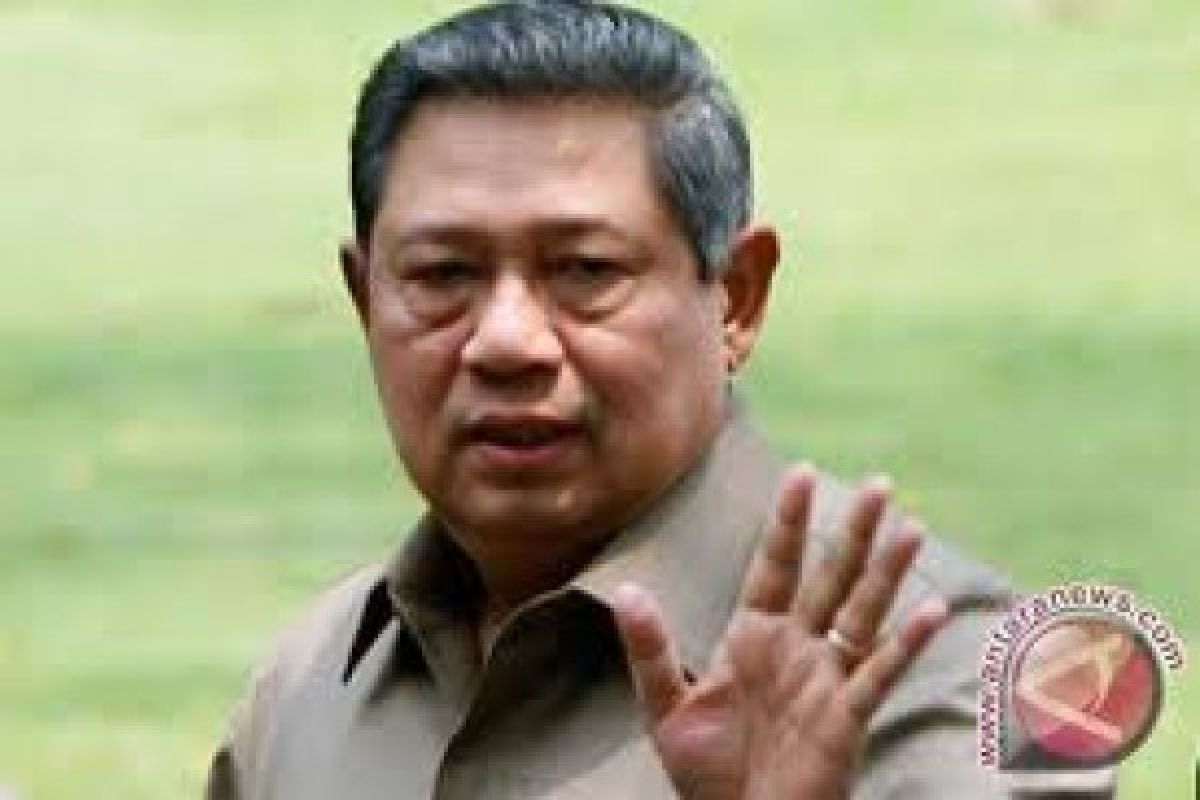 Presiden Tinjau Peternakan Sapi di Tuban