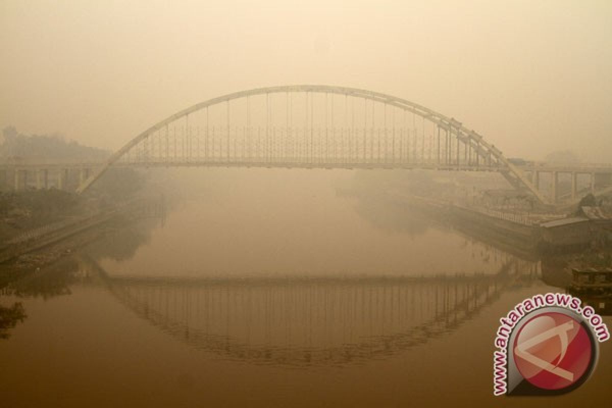 Haze disrupts oil palm production in Riau