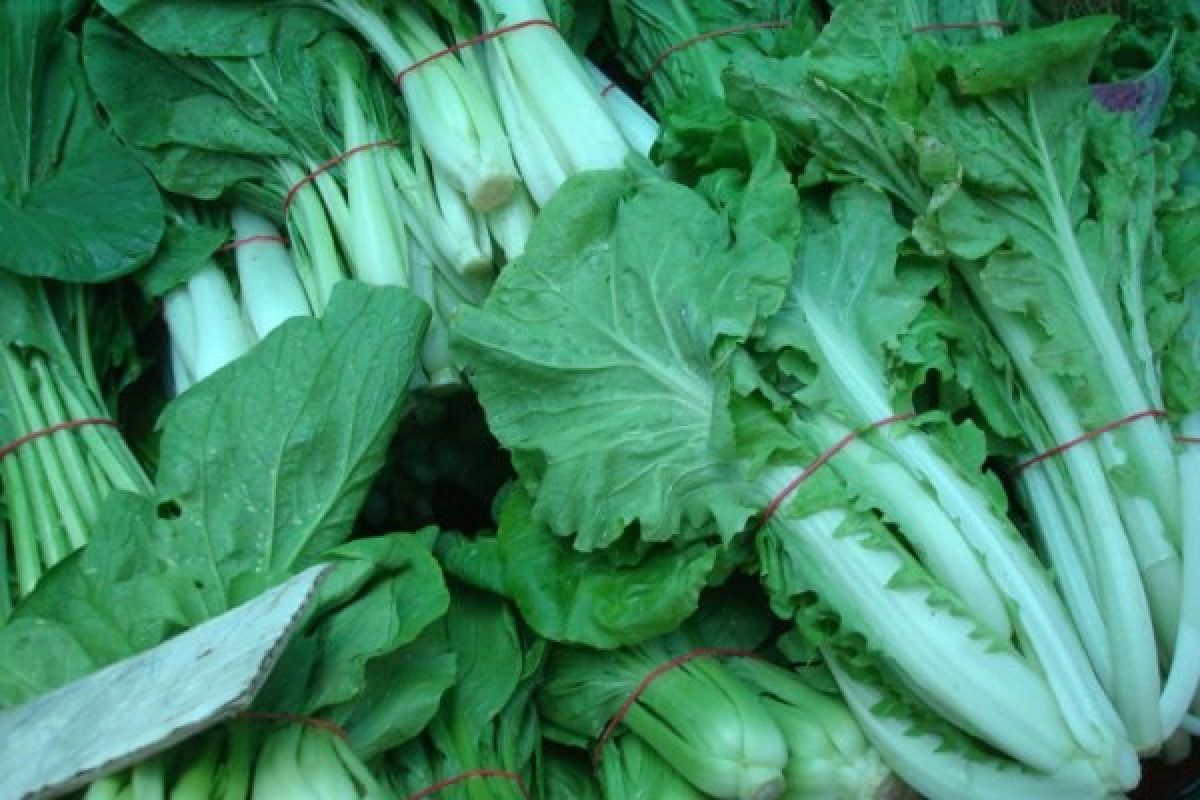 Harga Sayur Naik Akibat Cuaca Panas