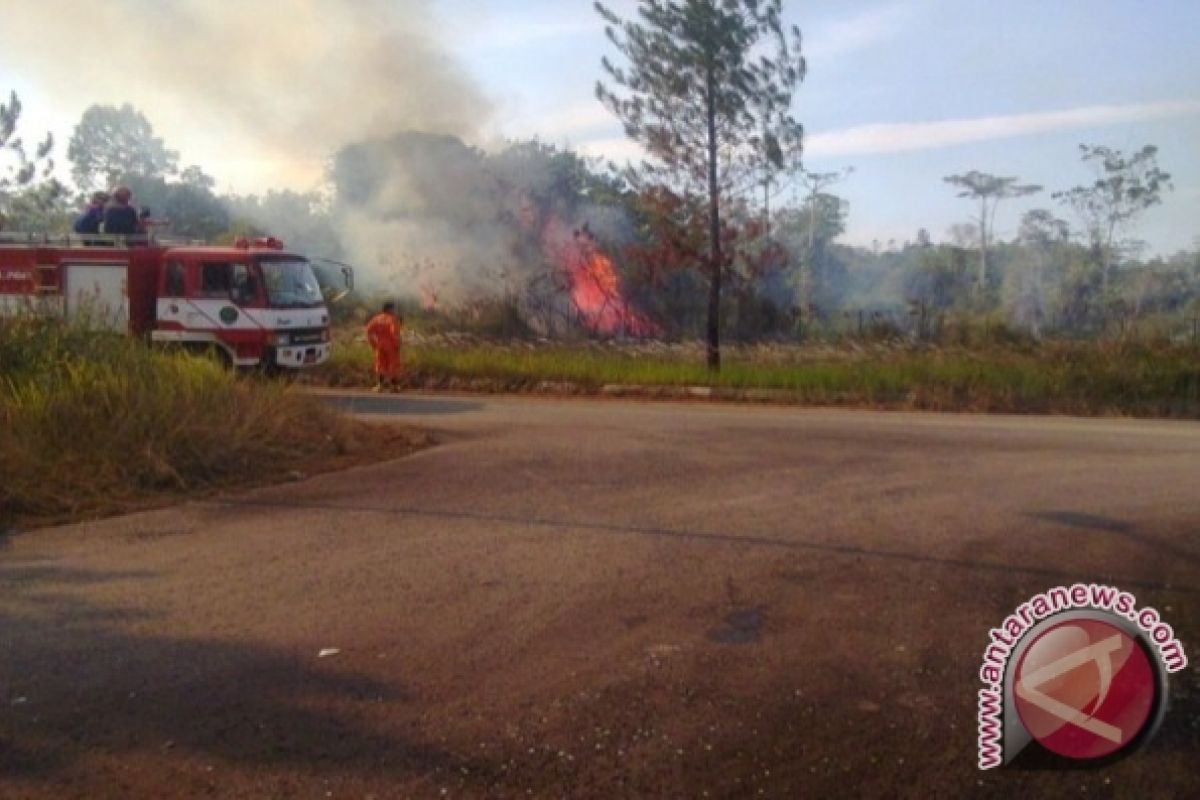  Gubernur Ingatkan Kebakaran Hutan