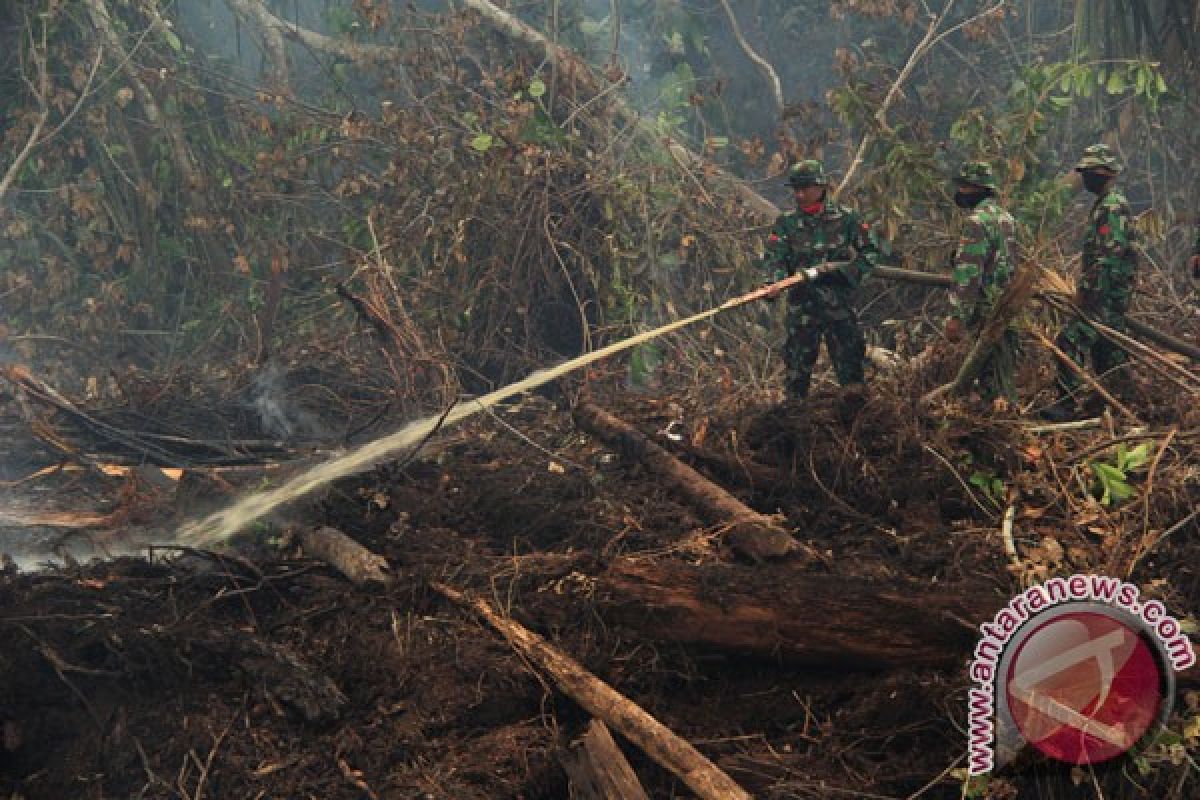 Satgas: titik api di cagar biosfer Riau berhasil dipadamkan